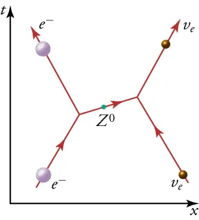 The diagram shows an electron and electron neutrino traveling upward toward each other. As the electron expels a Z boson to the right, it is projected upward and to the left. The boson is received by the electron neutrino on the right. As a result, this particle is projected upward and to the right.