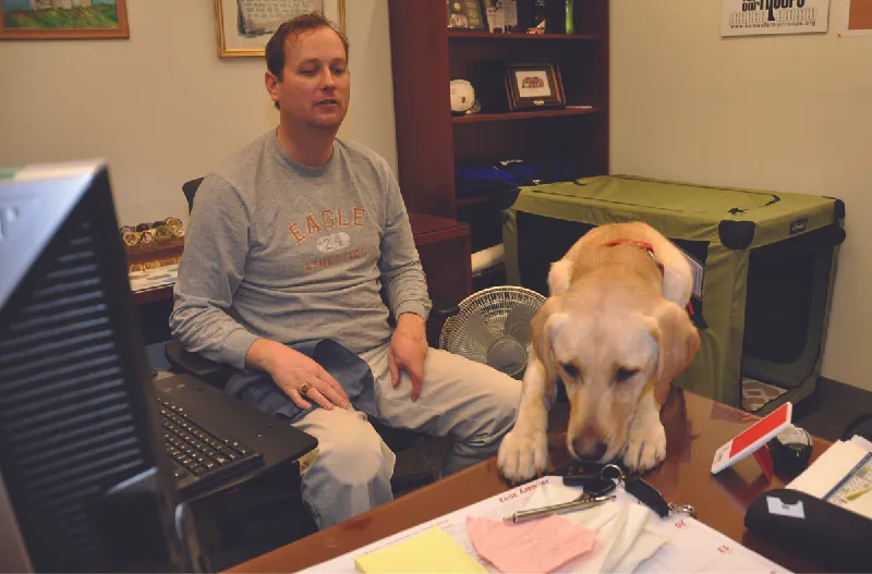 This image shows a man sitting in a chair and a dog grabbing keys from a table with its mouth.