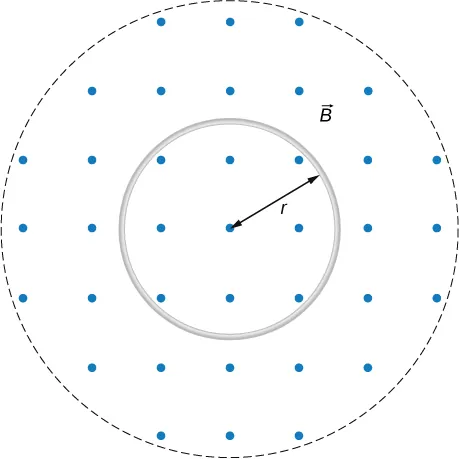 Rysunek przedstawia kołowy obszar, w którym istnieje jednorodne pole magnetyczne o indukcji B – prostopadłe do płaszczyzny tegoż rysunku. Pole to jest zwrócone od płaszczyzny rysunku. Wewnątrz obszaru pola, na płaszczyźnie rysunku – umieszczona jest kołowa pętla o promieniu r.