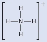 Una estructura de Lewis representa un átomo de nitrógeno que está unido con enlace simple a cuatro átomos de hidrógeno. La estructura está rodeada de corchetes y tiene un signo positivo en superíndice.