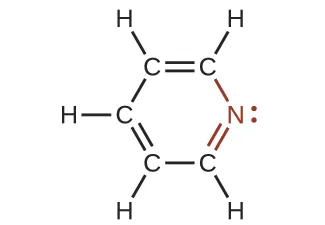 A molecular structure is shown. A ring of five C atoms and one N atom is shown with alternating double bonds. Single H atoms are bonded, appearing at the outside of the ring on each C atom. The N atom has an unshared electron pair shown on the N atom on the outer side of the ring. The N atom, electron dot pair, and bonds connected to it in the ring are shown in red.
