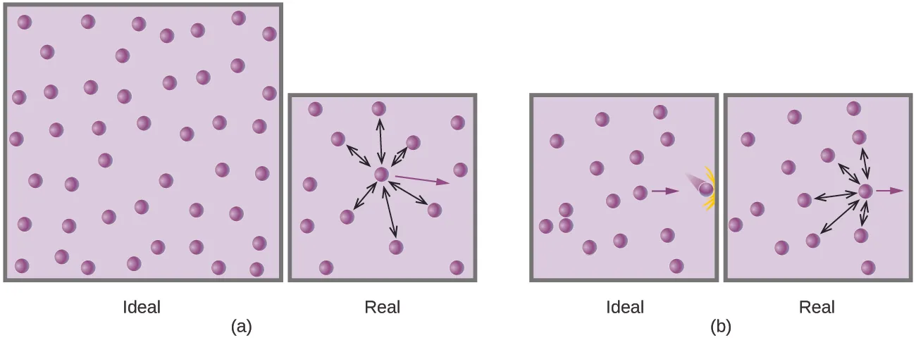 This figure includes two diagrams. Each involves two lavender shaded boxes that contain 14 relatively evenly distributed, purple spheres. In the first box in a, a nearly centrally located purple sphere has 6 double-headed arrows extending outward from it to nearby spheres. A single purple arrow is pointing right into open space. This box is labeled, “real.” There is a second box that looks slightly larger than the first box in a. It has the same number of particles but no arrows. This box is labeled, “ideal.” In b, the first box has a purple sphere at the right side which has 4 double-headed arrows radiating out to the top, bottom, and left to other spheres. A single purple arrow points right through open space to the edge of the box. This box has no spheres positioned near its right edge This box is labeled, “real.” The second box is the same size as the first box and contains the same number of particles. There are no arrows in it, except for the purple arrow which appears to be bigger and bolder. This box is labeled, “ideal.”