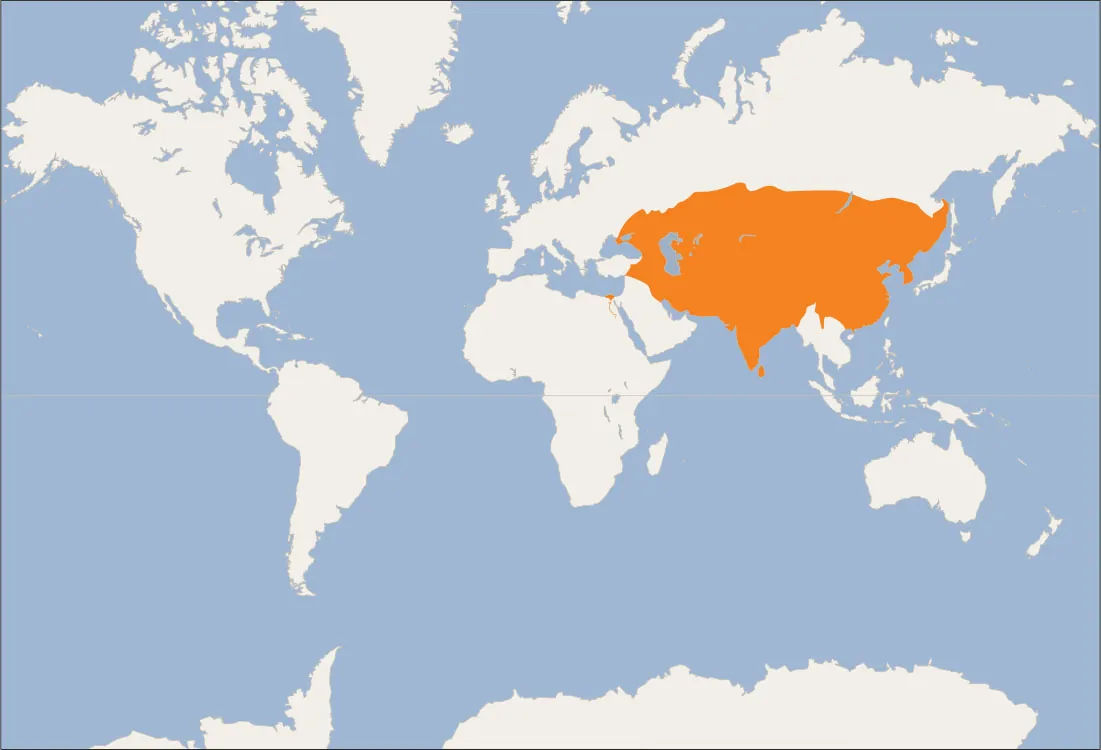 A map of the world is shown, land highlighted in white and water in blue. A white line runs through the middle of the map. Southern mainland Asia, and Egypt are highlighted orange.