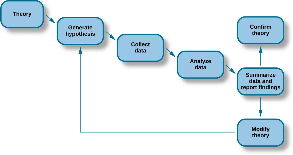 A diagram has seven labeled boxes with arrows to show the progression in the flow chart. The chart starts at “Theory” and moves to “Generate hypothesis,” “Collect data,” “Analyze data,” and “Summarize data and report findings.” There are two arrows coming from “Summarize data and report findings” to show two options. The first arrow points to “Confirm theory.” The second arrow points to “Modify theory,” which has an arrow that points back to “Generate hypothesis.”