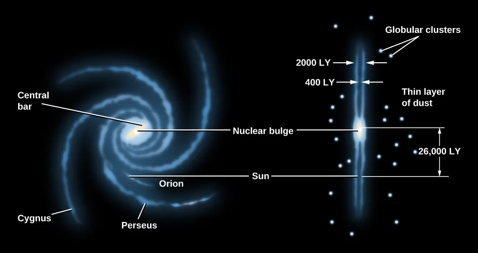 A schematic representation of the Milky Way Galaxy. On the left is the face-on view of the spiral disk, with the central bar in the center, the Cygnus spiral arm on the lower left, the Perseus arm labeled on the bottom, the smaller Orion spur labeled above that, and the Carina arm labeled on the right. On the right of the schematic is the edge-on view of the spiral disk, surrounded by serval globular clusters. The nuclear bulge is labeled in the center of both views, and the Sun is labeled on the Orion spur. The distance between the Sun and the nuclear bulge is labeled 26,000 light years.