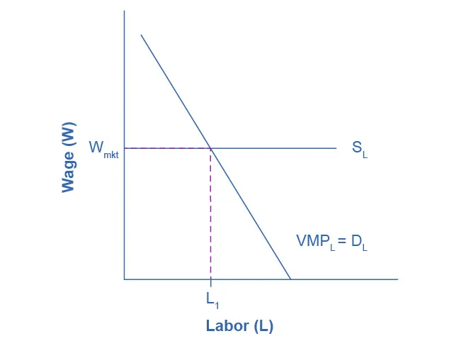 The graph shows the Marginal Product of Labor.  The x-axis is Labor.  The y-axis is Wage.  The curve proceeds from right to left in a downward direction.  A horizontal line indicating the going market wage projects from about halfway up the y-axis.  Where the curve and the horizontal line meet, it is point L1.  The caption provides context.