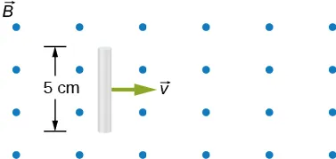 Rysunek przedstawia prostokątny obszar, w którym istnieje jednorodne pole magnetyczne o indukcji B – prostopadłe do płaszczyzny tegoż rysunku. Pole to zwrócone jest od płaszczyzny rysunku. Dłuższe boki obszaru tegoż pola są poziome. W obszarze pola, w pobliżu jego lewej granicy – znajduje się pionowy pręt o długości 5 centymetrów. Pęt porusza się w poziomie, ku prawej stronie rysunku, z prędkością v, której wektor zaznaczony jest na rysunku.