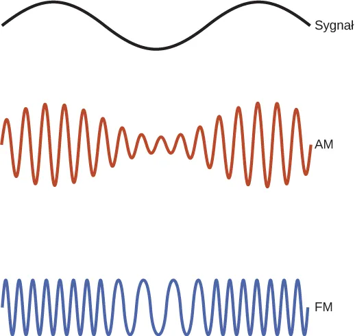 Rysunek pokazuje trzy sinusoidalne fale. Pierwsza, oznaczona jako sygnałowa, ma większą długość fali niż dwie pozostałe. Druga oznaczona AM ma amplitudę zmodyfikowaną zgodnie z amplitudą fali sygnałowej. Trzecia, oznaczona FM, ma częstotliwość zmodyfikowaną zgodnie z amplitudą fali sygnałowej. 