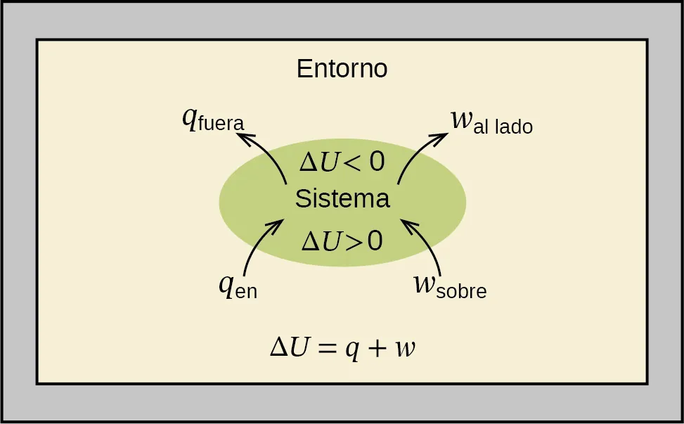 Se muestra un diagrama rectangular. Un óvalo verde se encuentra en el centro de un campo marrón claro dentro de un cuadro gris. El campo marrón claro está etiquetado como "Entorno" y la ecuación "Δ U = q + w" está escrita en la parte inferior del diagrama. Dos flechas se dirigen hacia el óvalo verde y se etiquetan como "q subíndice dentro" y "w subíndice sobre", mientras que otras dos flechas se dirigen hacia fuera del óvalo y se etiquetan como "q subíndice fuera" y "w subíndice por". El centro del óvalo contiene los términos "Δ U > 0", "Sistema" y "Δ U < 0".