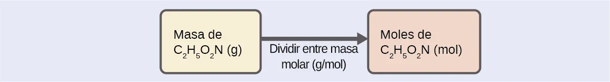 Se muestra un diagrama de dos recuadros conectados por una flecha hacia la derecha. El recuadro de la izquierda contiene la frase "Masa de C subíndice 2 H subíndice 5 O subíndice 2 N ( g )" mientras que el recuadro de la derecha contiene la frase "Moles de C subíndice 2 H subíndice 5 O subíndice 2 N ( mol )”. Hay una frase debajo de la flecha que dice "Dividir entre la masa molar (g / mol)”.
