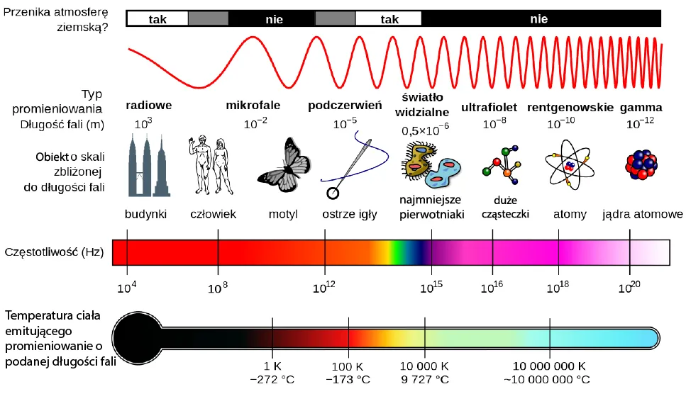 Rysunek przedstawia widmo elektromagnetyczne. Pokazuje różne rodzaje fal z ich długościami, częstotliwościami, szacunkowymi skalami, temperaturami ciał emitujących te fale wraz z zaznaczeniem czy fale te przenikają ziemską atmosferę czy też nie. Fale są następujące: radiowe o długości 10 do potęgi 3 m, częstotliwości 10 do potęgi 4 Hz, o skali budynków, przenikające atmosferę; mikrofale o długości 10 do potęgi minus 2 m, częstotliwości z grubsza 10 do potęgi 10 Hz, skali od pszczół do ludzi, nie przenikające atmosfery i emitowane przez ciała o temperaturze 1 stopnia K; fale podczerwone o długości 10 do potęgi minus 5 m, częstotliwości z grubsza 10 do 13 Hz, skali czubka igły, częściowo przenikające atmosferę i emitowane przez ciała o temperaturze 100 stopni K; fale widzialne o długości 0,5 razy 10 do potęgi minus 6 m, częstotliwości 10 do potęgi 15 Hz, skali pierwotniaków, przechodzące przez atmosferę i emitowane przecz ciała o temperaturze 10,000 stopni K; fale ultrafioletowe o długości 10 do minus 8 m, częstotliwości 10 do potęgi 16 Hz, skali molekuł, nie przenikające atmosfery i emitowane przez ciała z grubsza 5 milionów stopni K; fale rentgenowskie X o długości 10 do potęgi 10 m, częstotliwości 10 do potęgi 18 Hz, skali atomów, nie przenikające atmosfery i emitowane przez ciała o temperaturze ponad milion stopni K; fale gamma o długości 10 do potęgi minus 12 m, częstotliwości z grubsza 10 do potęgi 20 Hz, skali jądra atomowego, nie przenikające atmosfery i emitowane przez ciała o temperaturze ponad 10 milionów stopni K.