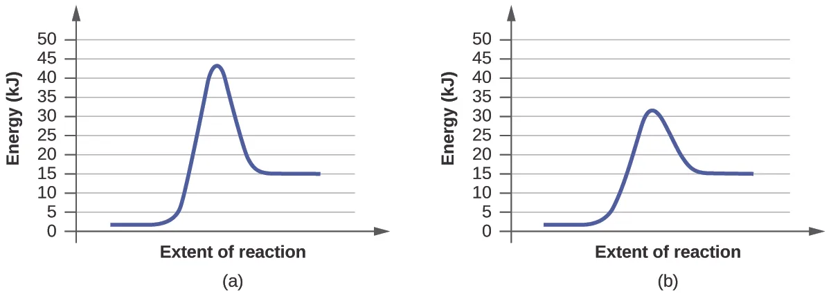 In this figure, two graphs are shown. The x-axes are labeled, “Extent of reaction,” and the y-axes are labeled, “Energy.” The y-axes are marked off from 0 to 50 in intervals of 5. In a, a blue curve is shown. It begins with a horizontal region at about 2. The curve then rises sharply near the middle to reach a maximum of about 43 and similarly falls to another horizontal segment at 15. In b, the curve begins and ends similarly, but the maximum reached near the center of the graph is only about 32.