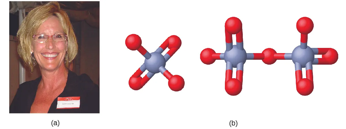 La figura A muestra una foto de Erin Brockovich. La figura B muestra un modelo de barras y esferas tridimensional del cromato. El cromato tiene un átomo de cromo en su centro que forma enlaces con cada uno de los cuatro átomos de oxígeno. Dos de los átomos de oxígeno forman enlaces simples con el átomo de cromo, mientras que los otros dos forman dobles enlaces cada uno. La estructura del dicromato consiste en dos iones de cromato que están enlazados y comparten uno de sus átomos de oxígeno al que cada átomo de cromato tiene un enlace simple.