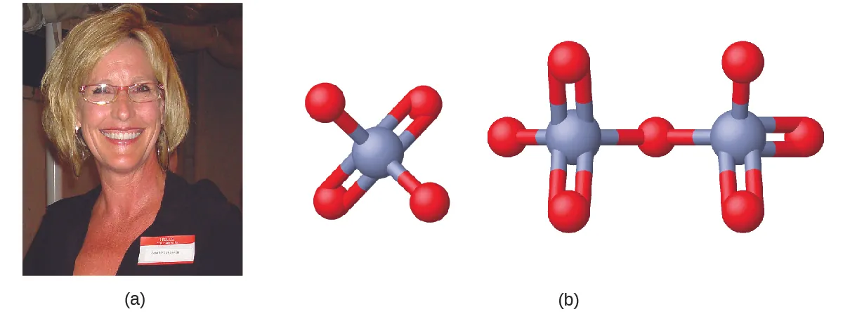 Figure A shows a photo of Erin Brockovich. Figure B shows a 3-D ball-and-stick model of chromate. Chromate has a chromium atom at its center that forms bonds with four oxygen atoms each. Two of the oxygen atoms form single bonds with the chromium atom while the other two form double bonds each. The structure of dichromate consists of two chromate ions that are bonded and share one of their oxygen atoms to which each chromate atom has a single bond.