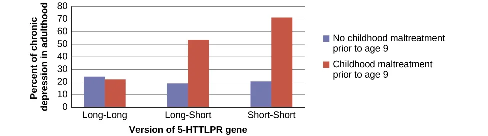 A bar graph has an x-axis labeled “version of 5-HTTLPR gene” and a y-axis labeled “percent of chronic depression in adulthood.” Data compares the type of gene combination and whether childhood maltreatment occurred prior to age 9. People with no childhood maltreatment prior to age 9 have a percentage of chronic depression of approximately 23% with the long-long gene, 19% with the long-short gene, and 20% with the short-short gene. People with childhood maltreatment prior to age 9 have a percentage of chronic depression of approximately 22% with the long-long gene, 53% with the long-short gene, and 71% with the short-short gene.