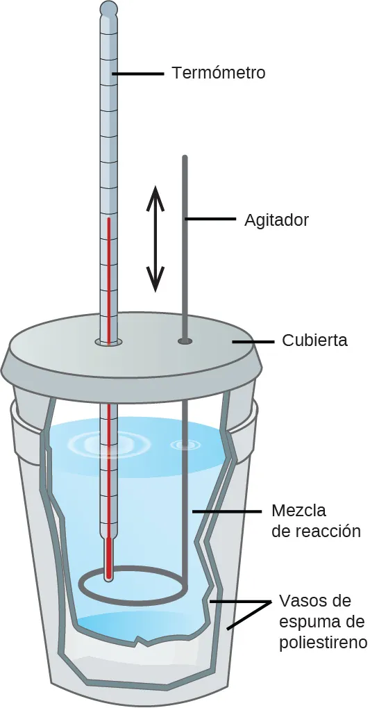 Se muestran dos vasos de espuma de poliestireno anidados uno dentro del otro con una tapa encima. Un termómetro y una varilla de agitar se introducen a través de la tapa y en la solución dentro del vaso, que se muestra como un corte. La varilla de agitar tiene una flecha de doble punta al lado, orientada hacia arriba y hacia abajo. La mezcla líquida dentro del vaso está etiquetada como "Mezcla de reacción".