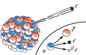 The figure shows beta decay of a nucleus (with several spherical protons and neutrons), resulting in splitting of a neutron intro three particles, namely proton, electron and neutrino.