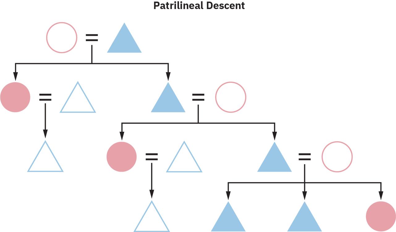 A Patrilineal Descent chart of several generations. All offspring individuals are marked as blue colored triangles and are part of the father's descent, and the descent passes only through the males.