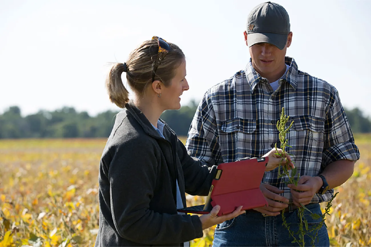 A photograph shows an agronomist and a farmer in a soybean field inspecting a plant.
