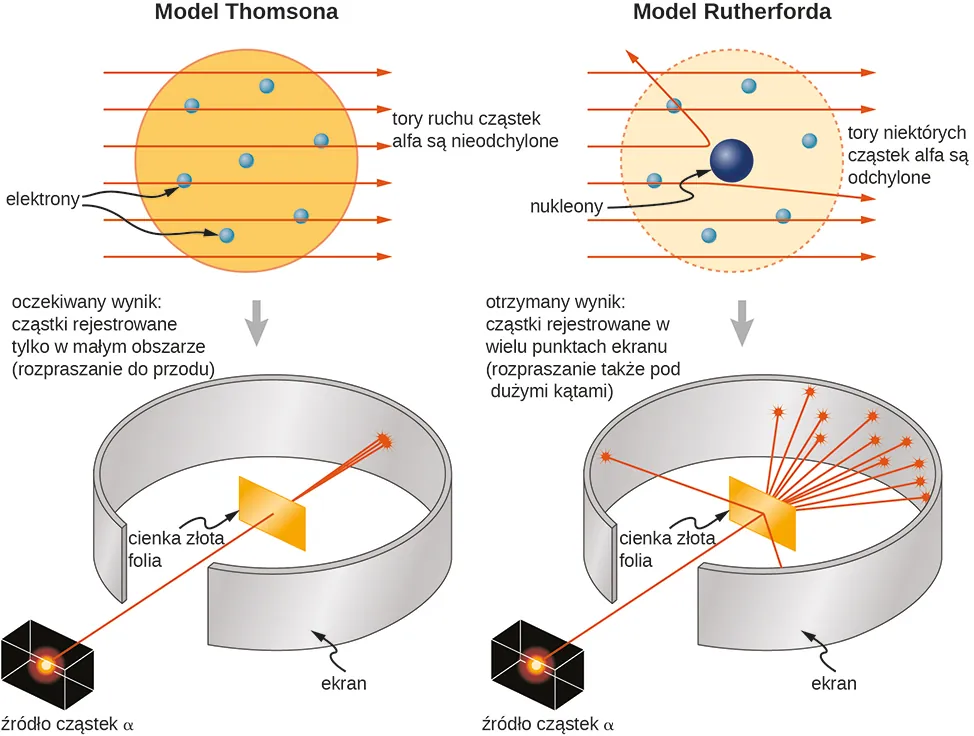Ilustracja modeli atomu Thomsona i Rutherforda oraz odpowiednich eksperymentów. W modelu Thomsona mamy elektrony pokazane jako małe kuleczki rozłożone równomiernie w dużej jednorodnej sferze. Cząstki alfa przechodzą przez taki atom praktycznie nierozproszone. Kilka trajektorii takich cząstek pokazano w postaci równoległych poziomych linii od lewej do prawej strony rysunku. Układ eksperymentalny składa się ze źródła skolimowanej wiązki cząstek alfa, która przechodzi przez szczelinę i pada na ekran otaczający folię złota, która była bombardowaną tarczą. Wiązka cząstek alfa przenika prze folię rozszerzając się nieznacznie i dociera do ekranu tworząc na nim plamkę. Zgodnie z tym modelem, oczekiwanym rezultatem była właśnie jedna plama naprzeciwko źródła cząstek alfa. Model Rutherforda posiada elektrony reprezentowane przez małe kuleczki wokół skoncentrowanego w środku małego jądra atomu. Narysowano kilka trajektorii cząstek alfa, zaczynających się z lewej strony rysunku i biegnących poziomo w kierunku środka atomu. Niektóre przebiegają niezaburzone, niektóre tylko nieznacznie odchylone od pierwotnego toru, a niektóre odchylone pod kątami większymi niż 900. Układ doświadczalny zawiera źródło wiązki przepuszczonej przez szczelinę padającej na folię złota, wokół której rozciągnięto ekran. Wiązka w większości przechodzi przez folię i pada na ekran na wprost źródła, ale jest też i sygnał w części ekranu, znajdującej się po tej samej stronie co wiązka padająca. Wynik eksperymentu pokazuje wiele plamek wzdłuż całej rozciągłości ekranu.