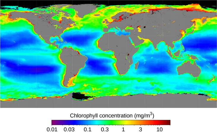 Chlorophyll Abundance. This whole-Earth map plots the distribution of chlorophyll in the oceans. The concentration is highest near the shorelines of the continents, especially in the northern hemisphere, and lowest in the mid-ocean regions. The color scale at bottom is labeled: “Chlorophyll concentration (mg/m3)”, and runs from 0.01 (purple) at left through 0.03 (blue), 0.1 (light blue), 0.3 (green), 1 (yellow), 3 (orange) to 10 (dark red) at right.