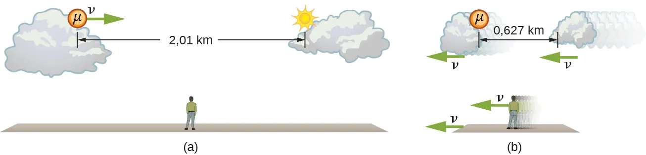 La figura a muestra a un observador estacionario en el suelo mirando a un muón que se mueve hacia la derecha con velocidad v entre dos nubes que están separadas por 2,01 km. La figura b muestra al observador, el suelo y las nubes moviéndose hacia la izquierda con una velocidad v. El muón está inmóvil. Las nubes están contraídas horizontalmente y la distancia entre ellas es de 0,627 km.