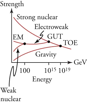 This graph plots the strengths of different forces (on the vertical axis) against their energies (on the horizontal axis). The graph shows a series of distinct lines, labeled gravity, weak nuclear, electromagnetic (EM), and strong nuclear, converging from the left to the right. The lines labeled EM and weak nuclear converge at an energy of 100 GeV and form a new line labeled electroweak. The lines labeled electroweak and strong nuclear converge at 1015 GeV. The location of their convergence is labeled GUT. The lines labeled strong nuclear and gravity converge at 1019 GeV. The location of their convergence is labeled TOE (Theory of Everything). The gravity line always trends upward as energy increases, while the line labeled strong nuclear always trends downward. Prior to their convergence, the EM line trended downward while the weak nuclear line trended upward. After their convergence, the electroweak line remained relatively horizontal.