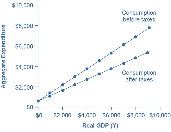 The graph shows two upward-sloping lines. The steeper of the two lines is the consumption before taxes. The more gradual of the two lines is the consumption after taxes.