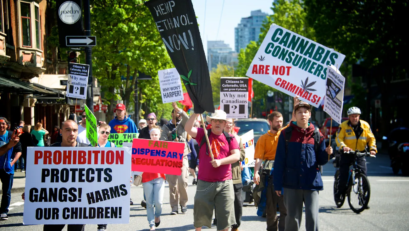 A group of people walk down the street in a parade-like manner. They carry signs reading 'Prohibition Protects Gangs' and 'Cannabis Consumers Are Not Criminals.'