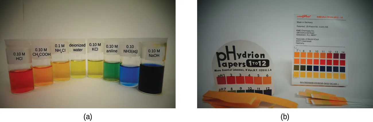 Esta figura contiene dos imágenes. La primera muestra una variedad de colores de soluciones en vasos de precipitados etiquetados. Una solución roja en un vaso de precipitados está etiquetada como "0,10 M H C l". Una solución anaranjada está etiquetada como "0,10 M C H subíndice 3 C O O H". Una solución de color amarillo-naranja está etiquetada como "0,1 M N H subíndice 4 C l". Una solución amarilla está etiquetada como "agua desionizada". Un segundo vaso de precipitados está etiquetado como "0,10 M K C l". Una solución verde está etiquetada como "0,10 M de anilina". Una solución azul está etiquetada como "0,10 M N H subíndice 4 C l (a q)". Un último vaso de precipitados que contiene una solución de color azul oscuro está etiquetado como "0,10 M N a O H" La imagen b muestra el papel pHydrion que se utiliza para medir el pH en el rango de p H de 1 a 12. La escala de colores para identificar el p H en función del color se muestra junto con varias de las tiras reactivas utilizadas para evaluar el p H.