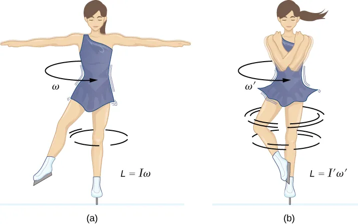 Two illustrations of a spinning ice skater. In figure a, on the left, the skater has her arms and one foot extended away from her body. She is spinning with angular velocity omega and L equals I times omega. In figure b, on the right, the skater has her arms and foot pulled close to her body. She is spinning faster, with angular velocity omega prime and L equals I prime times omega prime.