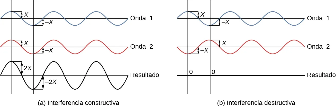 La imagen de la izquierda es un dibujo esquemático de la interferencia constructiva. Dos ondas idénticas están en fase dando lugar a una onda con el doble de amplitud. La imagen de la derecha es un dibujo esquemático de la interferencia destructiva. Dos ondas idénticas están desfasadas (desplazadas media longitud de onda), lo que da lugar a una onda con la amplitud cero.