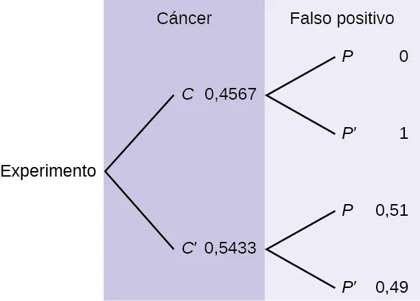 Este es un diagrama de árbol con dos ramas. La primera rama, identificada como cáncer, muestra dos líneas: 0,4567 C y 0,5433 C'. La segunda rama está identificada como falso positivo. Desde C, hay dos líneas: 0 P y 1 P'. Desde C', hay dos líneas: 0,51 P y 0,49 P'.
