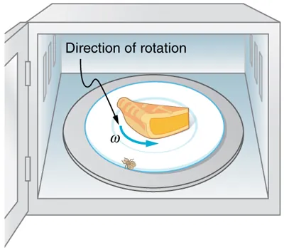 The figure shows a fly that has landed on the rotating plate of the microwave. The direction of rotation of the plate, omega, is counterclockwise and is shown with an arrow.