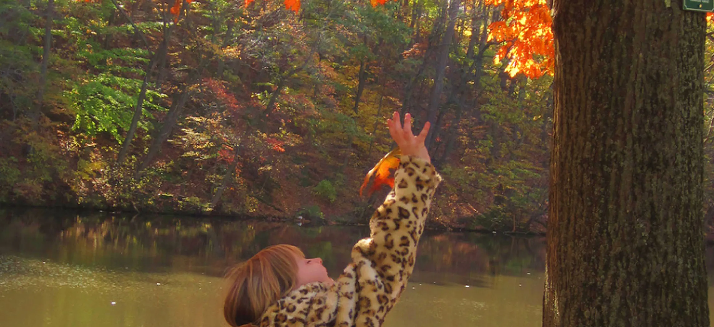 This photo shows a young girl reaching for an orange leaf on an oak tree. She is on a walkway near a creek. The opposite shore is a deep slope covered with more trees in autumn colors.
