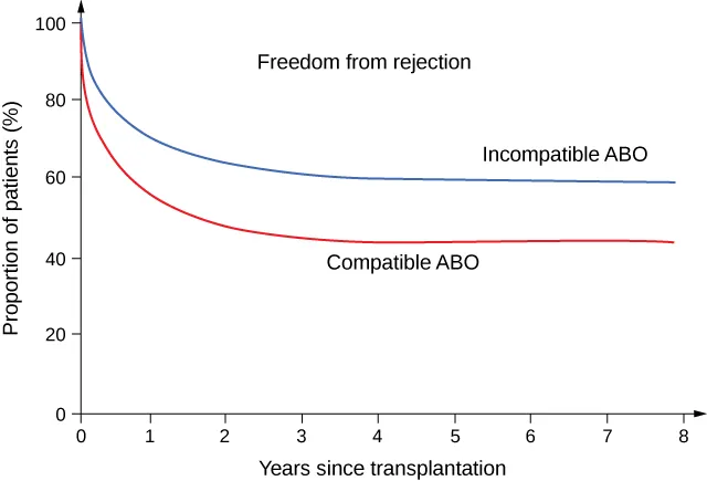 This line graph has a title of Freedom from rejection. The vertical line reads Proportion of patients (%) and it has tick marks at 0, 20, 40, 60, 80, and 100. The horizontal axis is labeled Years since transplantation. It has tick marks at  0, 1, 2, 3, 4, 5, 6, 7, and 8. There is a red and a blue line that marks the graph. The first is a blue line and it is labeled Incompatible ABO the line begins at 100, and drops to 75 around the 1 year mark and stays mostly straight until the right year marker. The second line which is red is labeled compatible ABO. It begins at the 100 and drops to around the 55 around year one, and continues on straight around 50 until the 8 year mark.