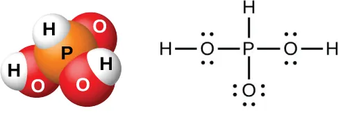 Un modelo de espacio lleno muestra un átomo naranja marcado como "P", enlazado en tres lados con átomos rojos marcados como "O", y por el otro lado con un átomo blanco marcado como "H". Dos de los átomos rojos están enlazados con átomos blancos marcados como "H". También se muestra una estructura de Lewis en la que un átomo de fósforo tiene un enlace simple con un átomo de hidrógeno y tres átomos de oxígeno, dos de los cuales tienen dos pares solitarios de electrones y enlaces simples con átomos de hidrógeno, y uno de ellos tiene tres pares solitarios de electrones.