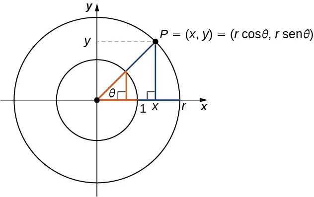 Imagen de un gráfico. El gráfico tiene un círculo trazado en él, con el centro del círculo en el origen, donde hay un punto. Desde este punto, hay un segmento de línea azul que se extiende horizontalmente a lo largo del eje x hacia la derecha hasta un punto en el borde del círculo. Hay otro segmento de línea azul que se extiende en diagonal hacia arriba y hacia la derecha hasta otro punto en el borde del círculo. Este punto está marcado como "P = (x, y)". Estos segmentos de línea tienen una longitud de "r" unidades. Entre estos segmentos de línea dentro del círculo se halla la marca "theta", que representa el ángulo entre los segmentos. Desde el punto "P", hay una línea vertical azul que se extiende hacia abajo hasta chocar con el eje x y, por tanto, con el segmento de línea horizontal, en un punto marcado como "x". En la intersección del segmento de línea horizontal y el segmento de línea vertical en el punto x, hay un símbolo de triángulo rectángulo. Desde el punto "P", hay un segmento de línea horizontal punteada que se extiende hacia la izquierda hasta que toca el eje y en un punto marcado como "y".