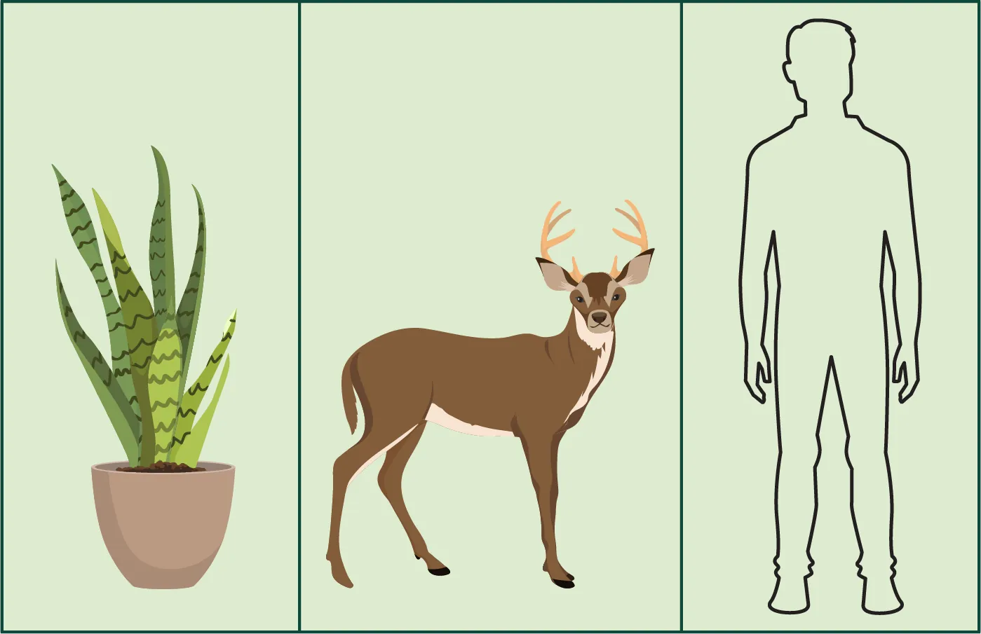 Three panels, the first containing a sketch of a plant, the second a picture of a deer, and the third an outline of a human being.