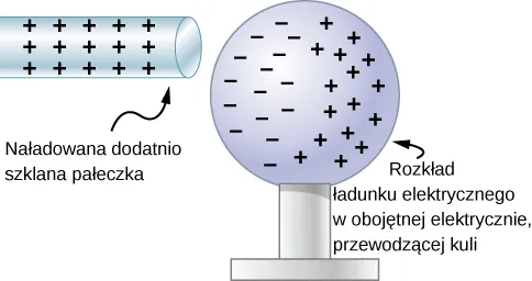 Mikroskopowy obraz polaryzacji. Dodatnio naładowana szklana pałeczka jest umieszczona w pobliżu obojętnej elektrycznie przewodzącej kuli, w której obserwujemy rozkład ładunku elektrycznego. Ładunki ujemne gromadzą się w kuli w pobliżu szklanej pałeczki, a ładunki dodatnie po przeciwnej stronie kuli.