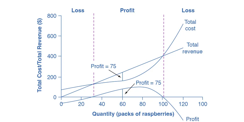 The graph shows that firms will incur a loss if the total cost is higher than the total revenue. The x-axis is the quantity of raspberry packs. The y-axis is the total cost/total revenue. The description of the graph is located in the paragraph below the table.