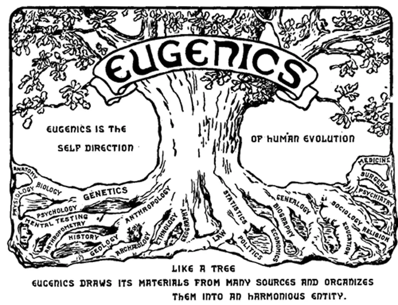 Illustration shows a tree with words such as genetics, statistics, medicine, economics, and genealogy associated with the roots. The word eugenics is emblazoned across the upper trunk. To the side of the tree is the text that reads, Eugenics is the self-direction of human evolution.