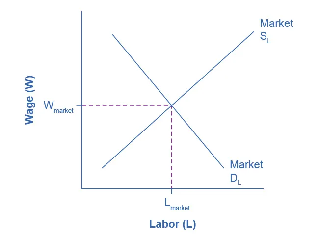 The graph compares the demand and supply for labor. The x-axis is Labor, and the y-axis is Wages. The Demand for Labor curve slopes downward from the top left to the bottom right. The Supply for Labor slopes upward from the bottom left to the top right. The two curves intersect at the equilibrium wage and employment level.