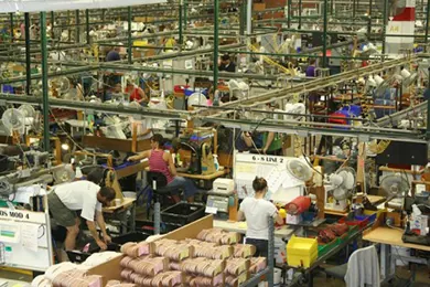 Division of Labor