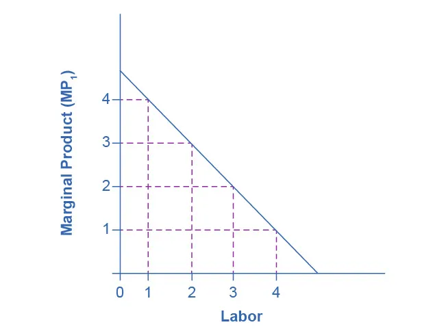 The graph shows the marginal product of labor. The x-axis is Labor, and has values from 0 through 4. The y-axis is Marginal Product (MP_1) and has values from 0 through 4. The curve proceeds downward as Labor increases. When labor is equal to 1, the Marginal Product is 4. But when Labor equals 4, the Marginal Product is 1.