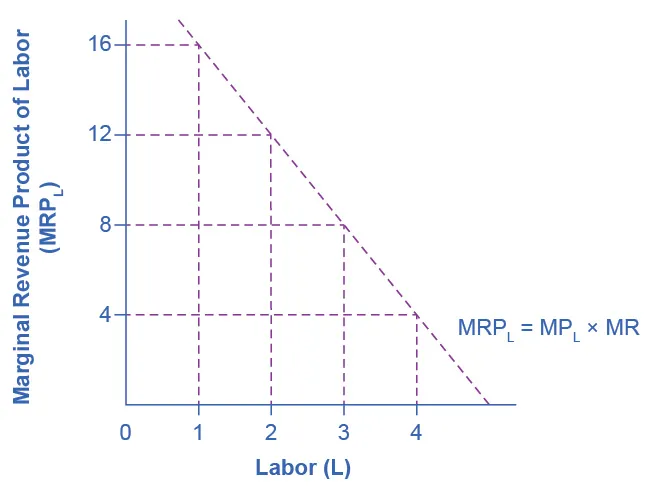 The graph illustrates the marginal revenue product of labor. The x-axis shows the amount of labor, indicating units of labor from 0 to 4. The y-axis shows the marginal revenue product of labor, and ranges from 0 to 16 in increments of 4. The initial point shown is labor equal to 1 with a marginal revenue product of 16. The curve is downward sloping from there, to a point of labor equal to 4 and a marginal revenue product equal to 4. The marginal revenue product equation is shown as marginal product of labor times marginal revenue.