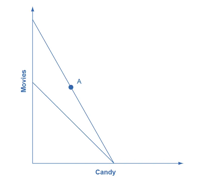 The graph matches the one from Step 1 with the addition of a second downward sloping line that intersects with the original line at the x-axis. The other endpoint of this new line is lower on the y-axis than the one from Step 1.