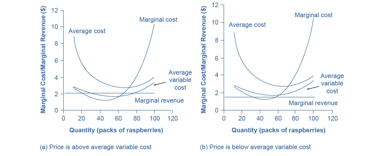 The graphs show that despite negative profits (i.e. losses), firms can continue to operate. However, when prices drop beneath variable cost, firms will shut down