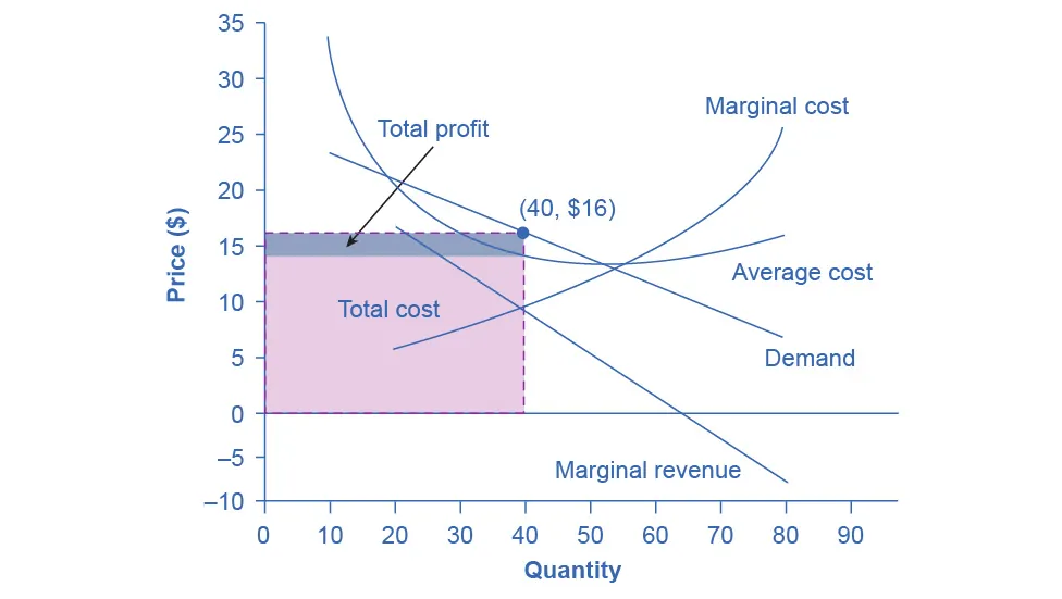 The graph shows that the point for profit maximizing output occurs where marginal revenue equals marginal cost. In addition, profit maximizing price is given by the height of the demand curve at the profit maximizing quantity.