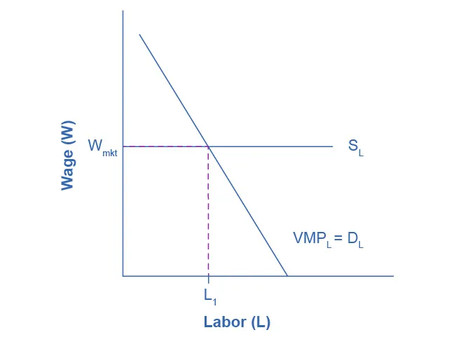 The graph shows the Marginal Product of Labor. The x-axis is Labor. The y-axis is Wage. The curve proceeds from right to left in a downward direction. A horizontal line indicating the going market wage projects from about halfway up the y-axis. Where the curve and the horizontal line meet, it is point L1. The caption provides context.